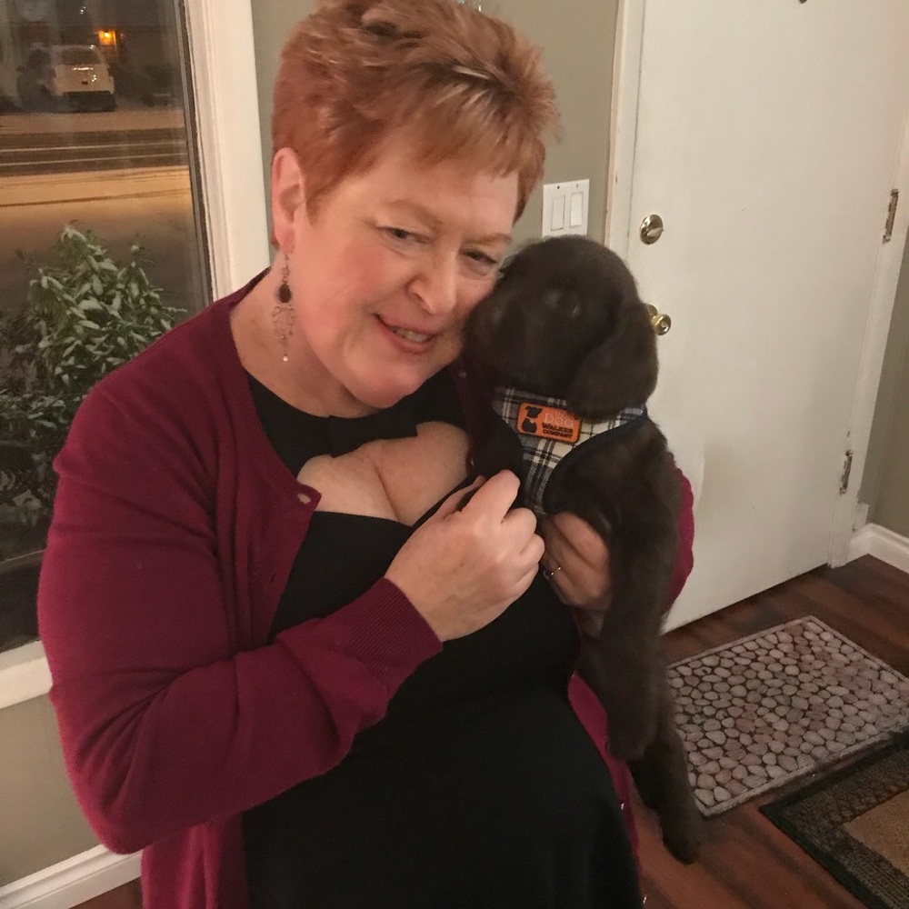 Meet your Posher, Sue